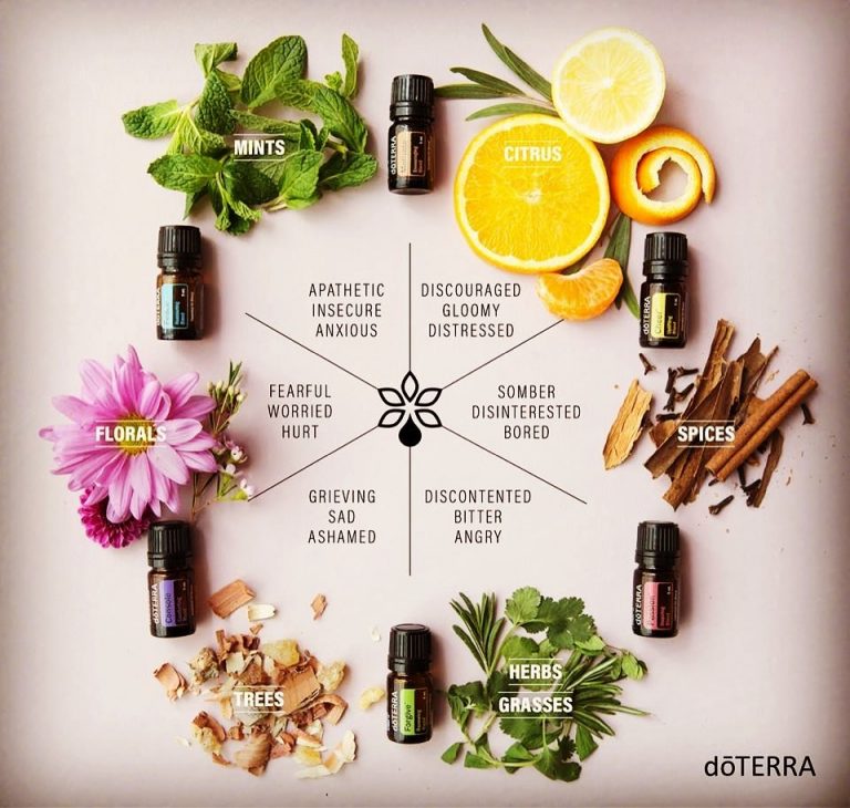 Emotional Aromatherapy Adviser Wellness by Mary B